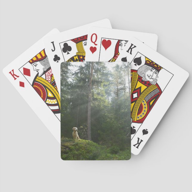 Kiefern-Waldland des golden retriever-Hund| Spielkarten (Rückseite)