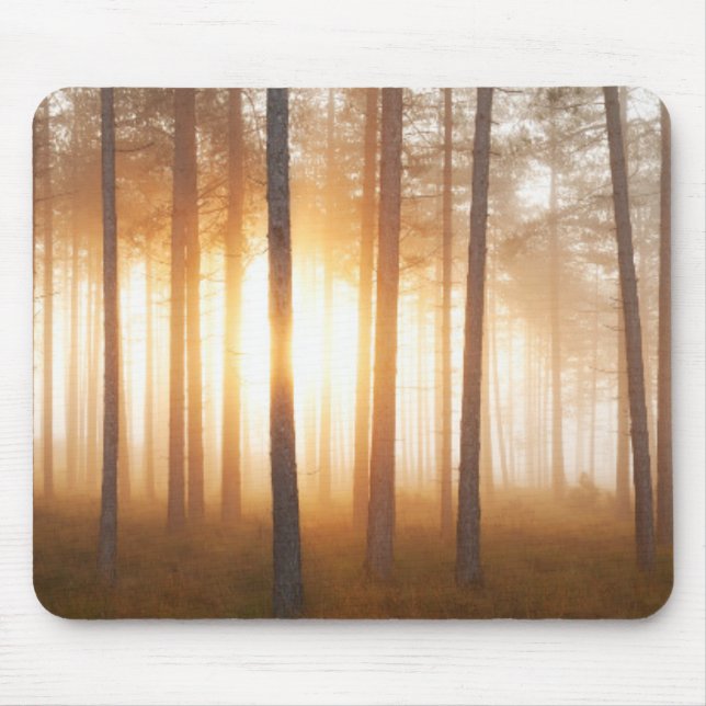 Kiefern-Waldlandschaft Mousepad (Vorne)