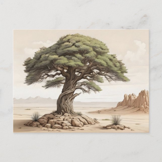 Kiefernbaum Postkarte (Vorderseite)