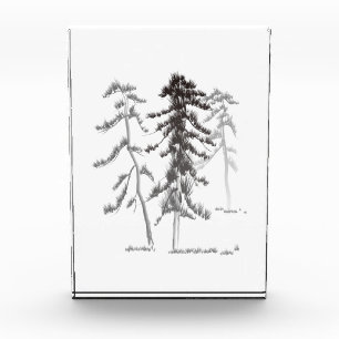 Kiefernbäume Fotoblock