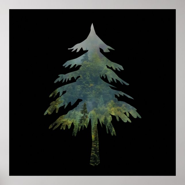 Kiefernbäume in den Wald Poster (Vorne)
