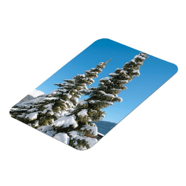 Kiefernbäume unter dem Schnee Magnet (Linke Seite)