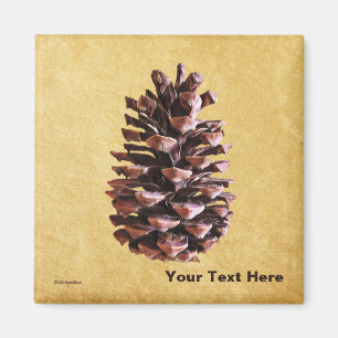 Kiefernkiefer auf Vintagem Papier Magnet
