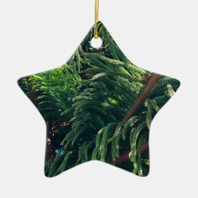 Kiefernkonifer Keramik Ornament (Vorne)