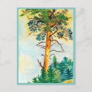 Kiefernpaste Postkarte