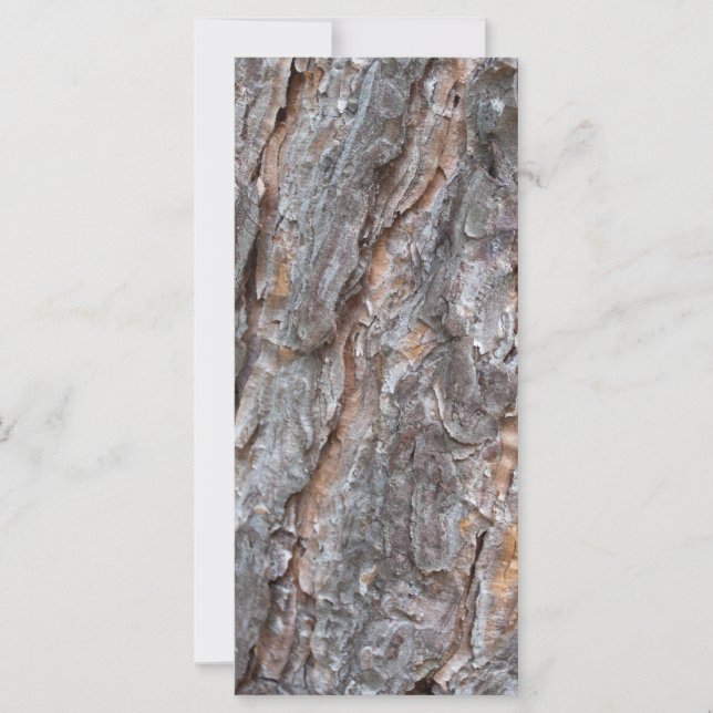 Kiefernrinde (Vorderseite)