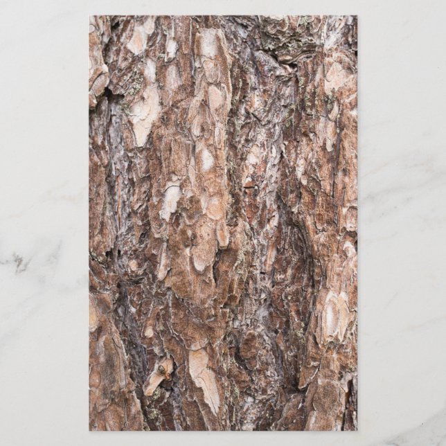 Kiefernrinde Briefpapier (Vorderseite)