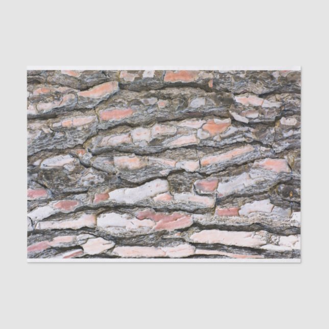 Kiefernrinde Seidenpapier (Vorderseite)