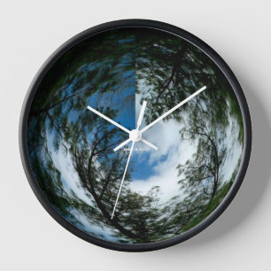 Kiefernspinne Uhr