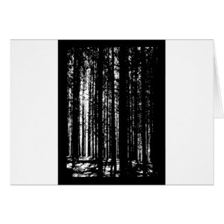 Kiefernwald