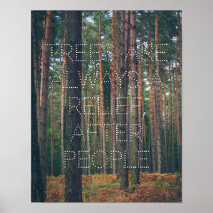 Kiefernwald Poster