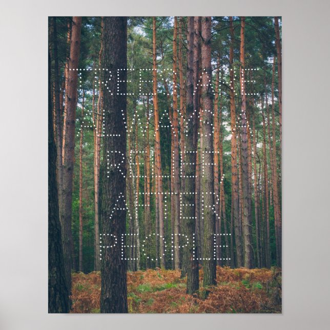 Kiefernwald Poster (Vorne)