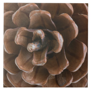 Kiefernzapfen Fliese