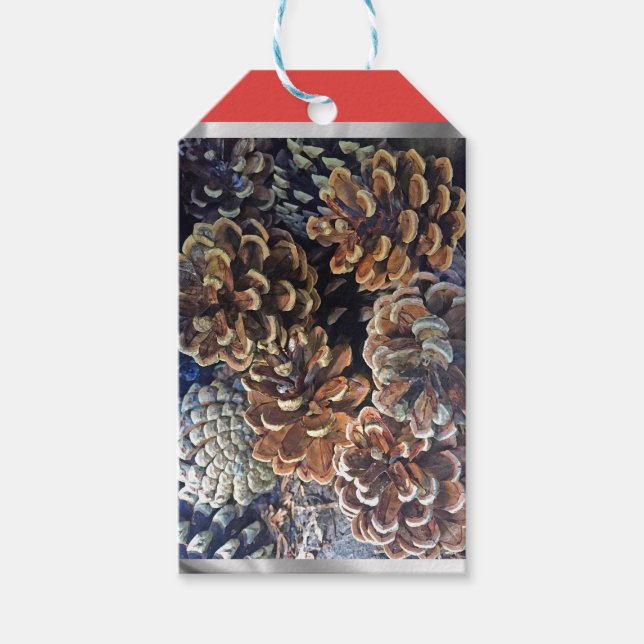 Kiefernzapfen Geschenkanhänger (Vorderseite)