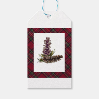 Kiefernzapfen und karierte geschenkanhänger