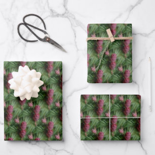 Kiefernzapfen und Kiefernnadeln Naturmuster Geschenkpapier Set