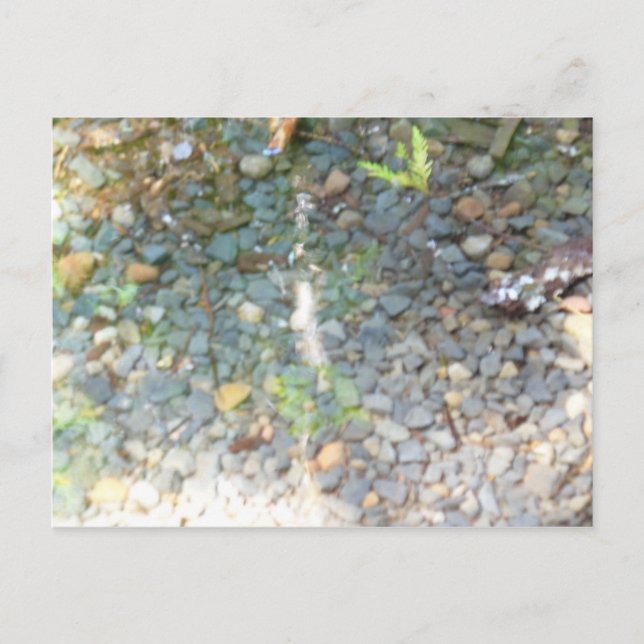 Kies in einer Stream-Postkarte Postkarte (Vorderseite)