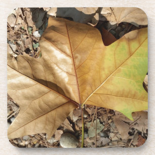 Kies und Blätter Untersetzer