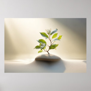 Kiesel Pflanze Ruhe Friedliche Natur Poster