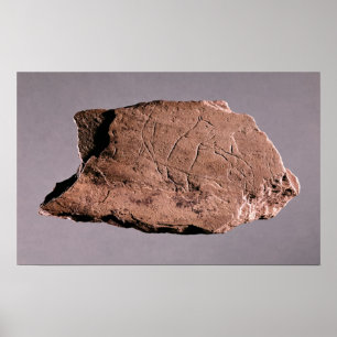 Kieselstein, der einen Mann darstellt, der von ein Poster