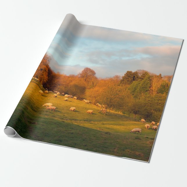 Kiftsack Geschenkpapier (Ungerollt)