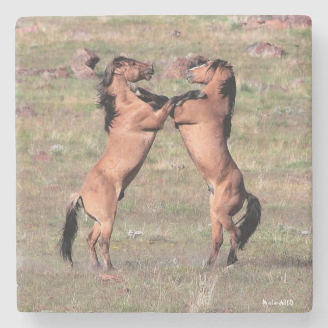 Kiger wilde Untersetzer (Vorderseite)