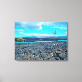 Kiholo Bay capturé pittoresque vue Hawaii toile