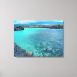 Kiholo Bay Hawaii capturé pittoresque impression d