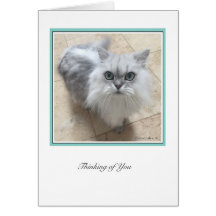 KiKi Ciollection # 2