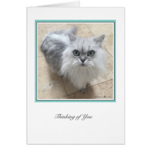 KiKi Ciollection # 2