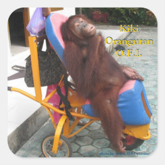 KiKi Orangutan im Rollstuhl Quadratischer Aufkleber