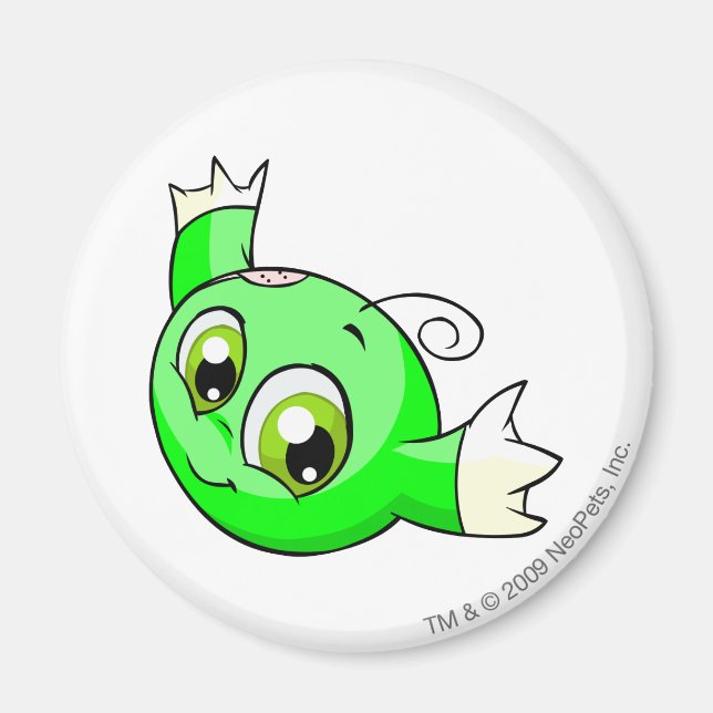 Kiko Glows Magnet (Vorne)