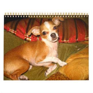 Kiko-Kalender Kalender