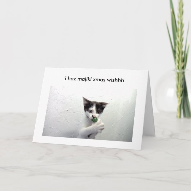 Kiko lolcat Feiertagskarte - Poof! (Vorderseite)