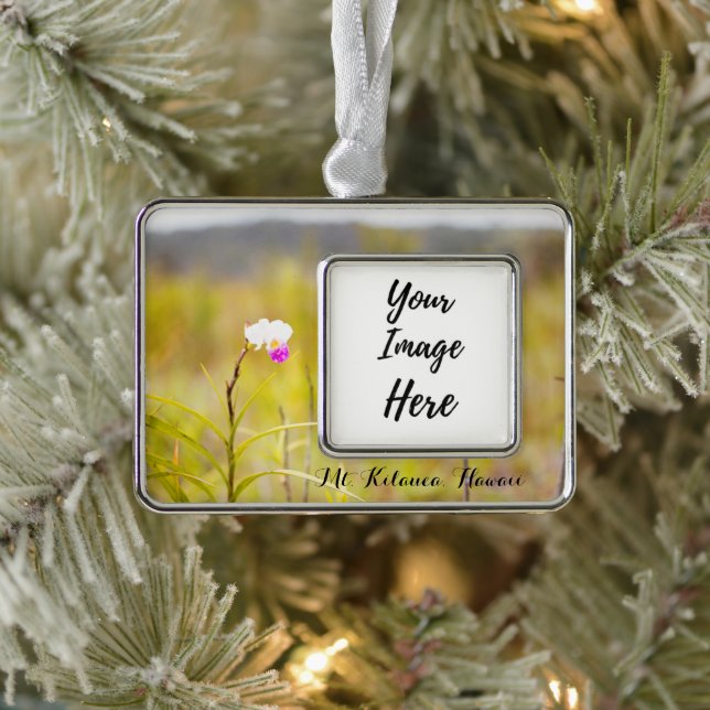 Kilauea Volcanoes Nationalpark Hawaii Rahmen-Ornament Silber (Baum)