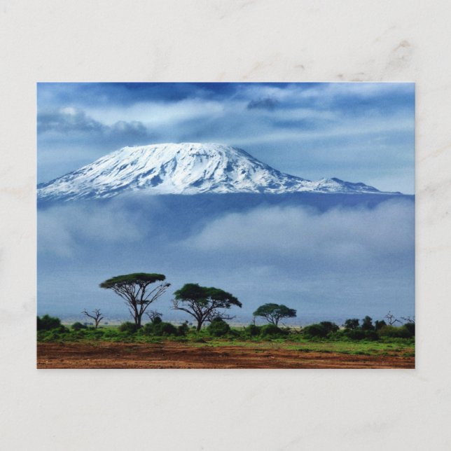 Kilimanjaro Kenya Postkarte (Vorderseite)