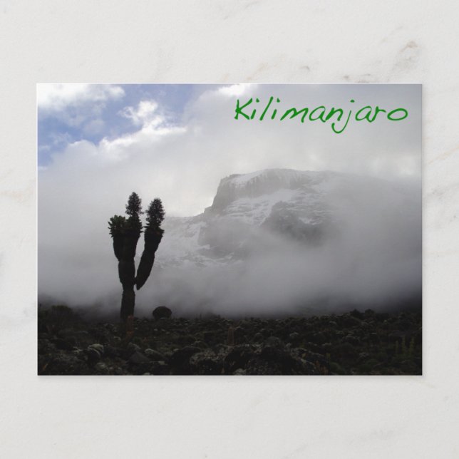 Kilimanjaro Postkarte (Vorderseite)