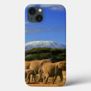Kilimanjaro und Elefanten title_seo2