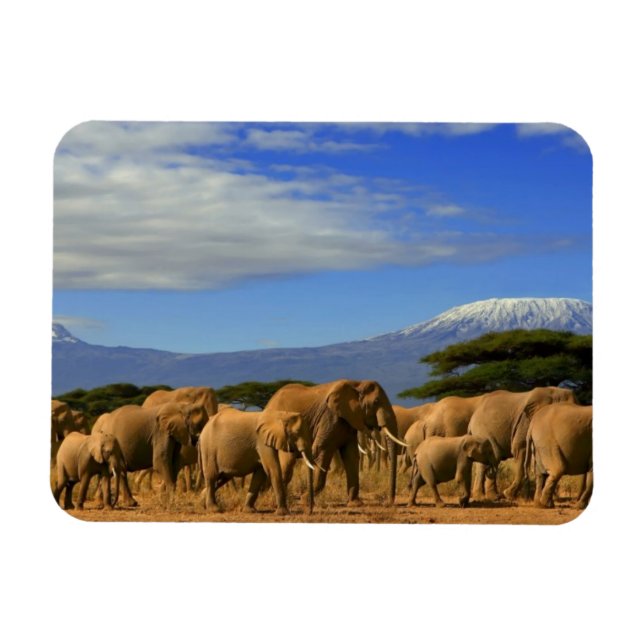 Kilimanjaro und Elefanten Magnet (Horizontal)