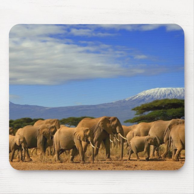 Kilimanjaro und Elefanten Mousepad (Vorne)