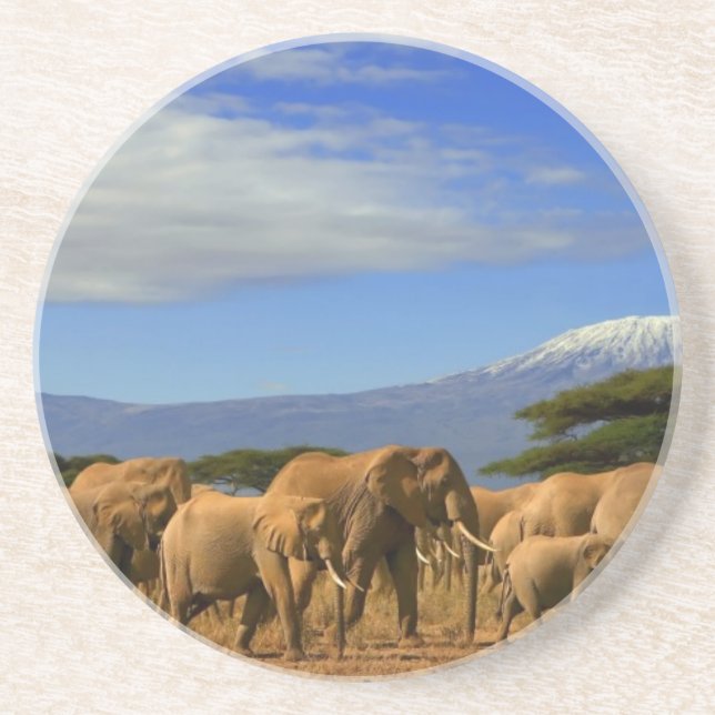 Kilimanjaro und Elefanten Untersetzer (Vorne)