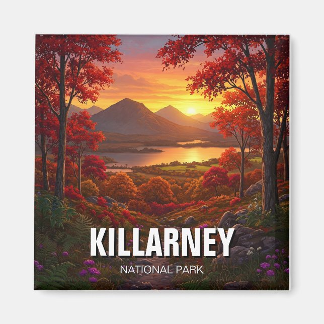 Killarney National Park Ireland Travel Magnet (Vorne)