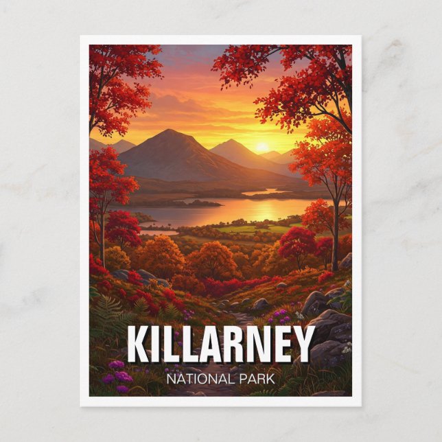 Killarney National Park Ireland Travel Postkarte (Vorderseite)