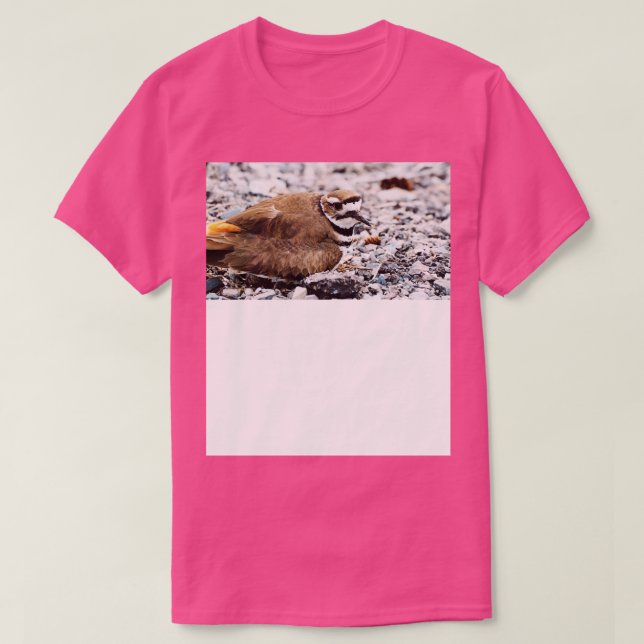 Killdeer Bird Guarde Her Nest TShirt (Design devant)
