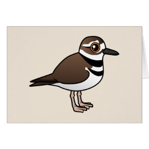 Killdeer de Birdorable