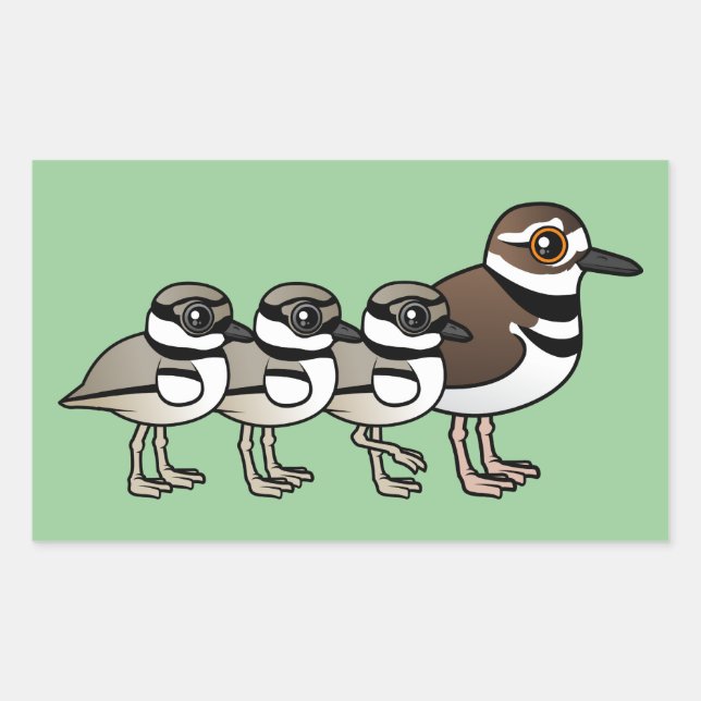 Killdeer & drei Küken Rechteckiger Aufkleber (Vorderseite)