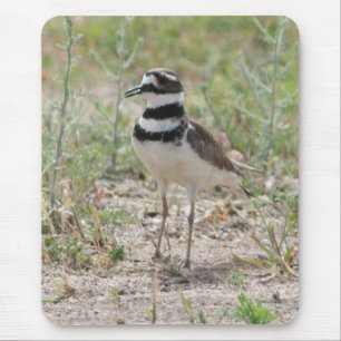 Killdeer Mousepad
