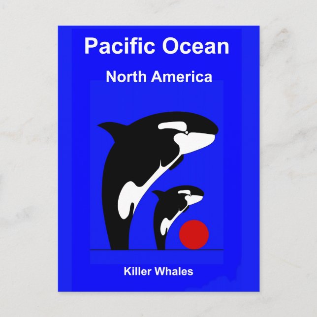 Killer Wales Postkarte (Vorderseite)