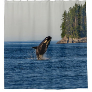 Killer Whale Breaching out of Ocean Water Duschvorhang
