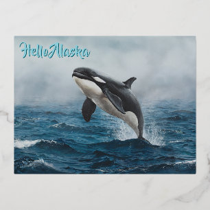 Killer Whale Jumping im wilden Ozean Orca Breachin Folien Feiertagspostkarte
